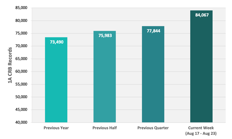 CRB Monitor | Weekly Update | August 17 - August 23, 2024