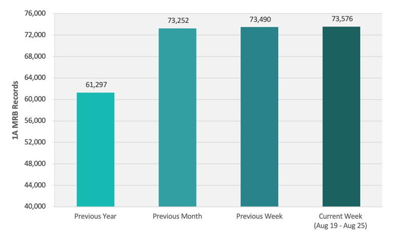 CRB Monitor | Weekly Update | August 19 - 25, 2023