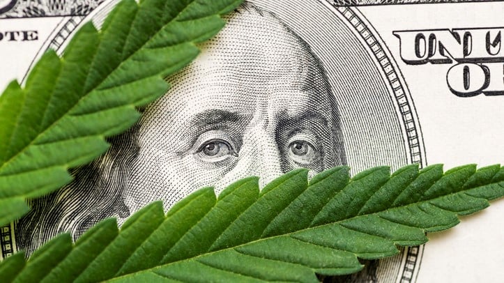 State Legalization of Cannabis: How Financial Institutions Can Stay Ahead of the Game