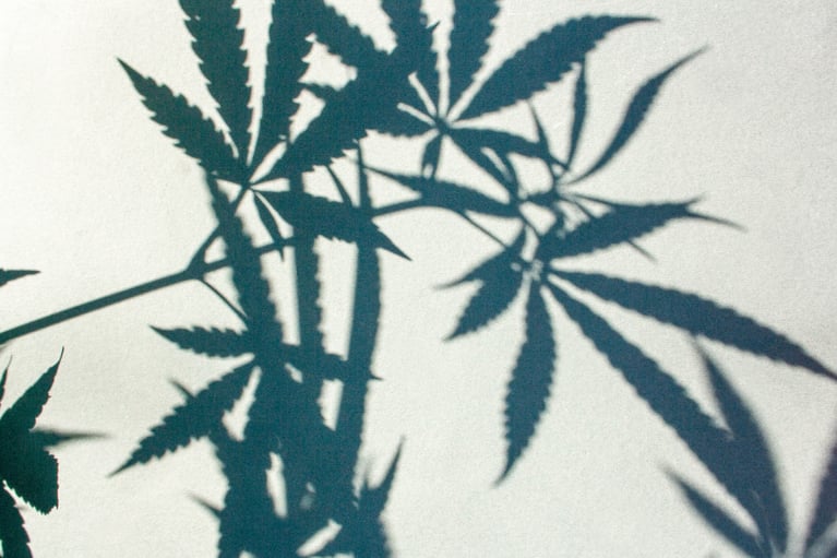 Pennsylvania Health Department Casts Shadow Over State’s Medical Marijuana Program